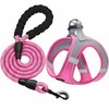 haapaw Dog Harness with Leash Set, No Pull Adjustable Reflective