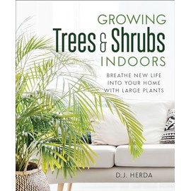 Growing Trees and Shrubs Indoors: Breathe New Life into Your Home with Large Plants