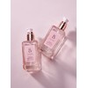 Perfume Hair Essence Oil 2 Type Set / 퍼퓸 헤어