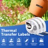 10 x Phomemo P12/P12 PRO/LT12 Thermal Transfer and Thermal Label