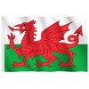 Wales Flag, Hianjoo Welsh National Flags 5ft x 3ft with