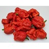 Dragons Breath Pepper Seeds