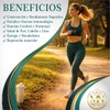 Bcaas Mayura Nutrition 1kg Varios Sabores