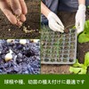Hole Digger Hand Diver with Wooden Handle, Hole Punch, Seedling
