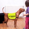 In Training Ignore Dog Jacket Vest Dog In Training Nervous