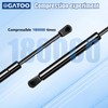 Rear Liftgate Hatch Lift Supports Struts Compatible with Dodge Challenger