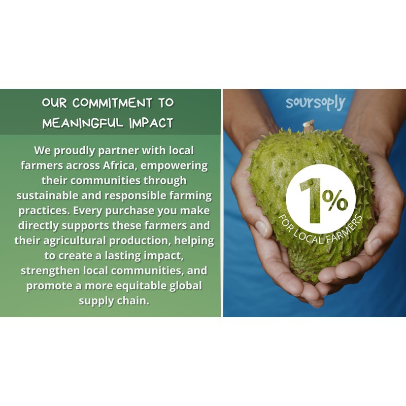 Soursoply – Premium Dried Soursop Leaves (100g) | Whole Dried