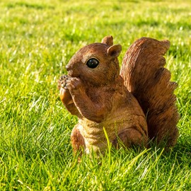 VERDOBA Squirrel Figure with Nut - Decorative Garden Figurine - Weatherproof - Garden Decoration Squirrel - Cute Squirrel Decoration Made of Resin for the Garden