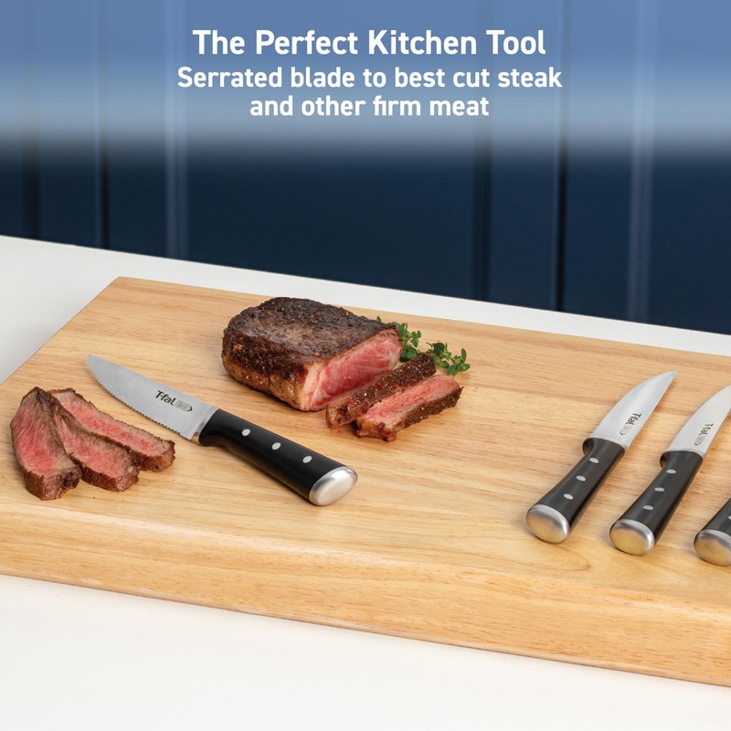 T-fal Ice Force German Stainless Steel Steak Knife Set 4