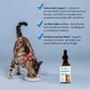 Felisyl L-Lysine Concentrate for Cats – 2 oz Immune &