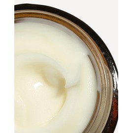 Segle Clinical | Crema Antiarrugas Intensivo De Noche Tinolvital | Con Retinol | Combate Arrugas De Expresión | Firmeza Y Elasticidad | Mejora La Luminosidad | Producto Vegano | 50ml (Small)