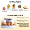 ZEMIRO CHARGE 12 Egg Incubator with Automatic Turning, Humidity Control,