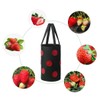 Strawberry Grow Bag 3 Gallon Hanging Tomato Planter 12 Holes