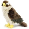 Hawk Bussard * 23 cm * SOFT TOY * Hawk