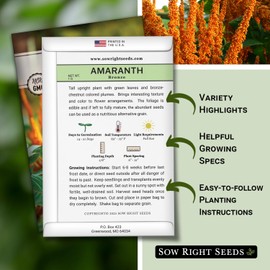 Sow Right Seeds - Bronze Amaranth Seeds for Planting - Non-GMO Heirloom Packet with Instructions to Plant & Grow an Outdoor Home Vegetable Garden - Colorful & Unique Autumn Bouquets (1)
