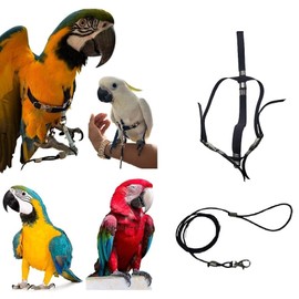 Black Adjustable Chest Strap for Parrots Size Elastic 10mm 2 Adjustable Steel Fasteners Leash 3mm Black PR