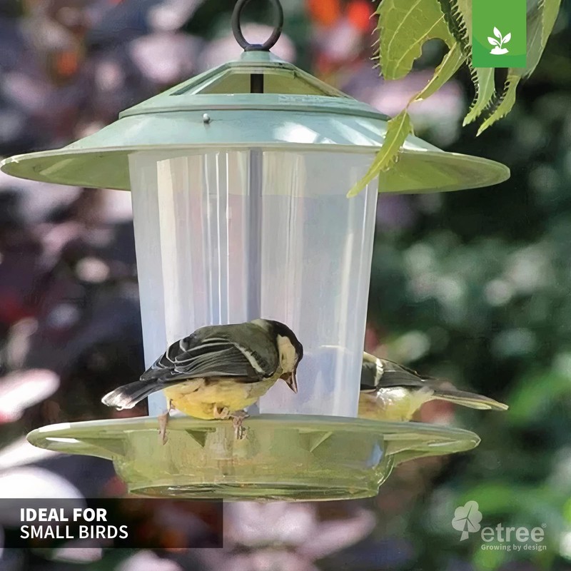 etree Easy Clean Hanging Lantern Bird Feeder (2023 Design) -