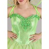 Dreamgirl Women's Fairy-Licious Costume, Green, Large