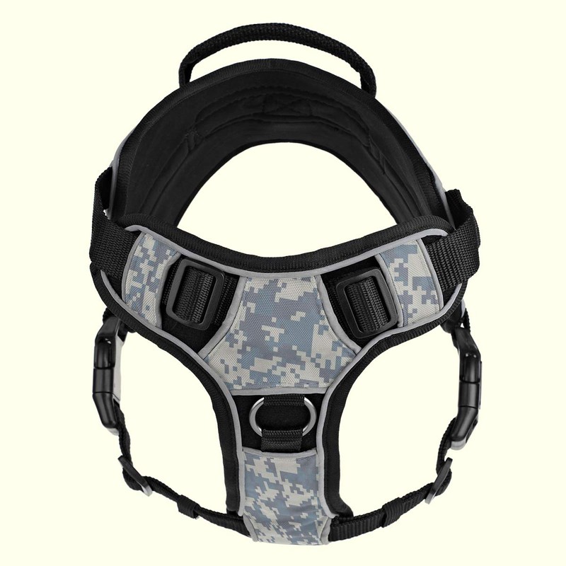Dogline Quest No-Pull Dog Harness with Deaf Dog Reflective Removable