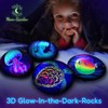Glow in The Dark Ocean Rock Painting Kit, Arts and