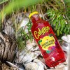 Calypso Lemonades 16 Ounce Glass Bottles 6 Pack (Paradise Punch