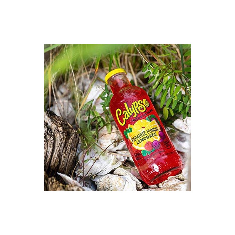 Calypso Lemonades 16 Ounce Glass Bottles 6 Pack (Paradise Punch