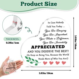 Motivational Quotes Acrylic Keepsake Inspirational Gifts Thank You Desk Sign for Women Men Appreciation Gifts for Coworker Sisters Friends Encouragement Home Office Desk Sign Decor