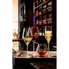 Luigi Bormioli Supremo 15.25 oz Pinot Noir Stemless Wine Glasses