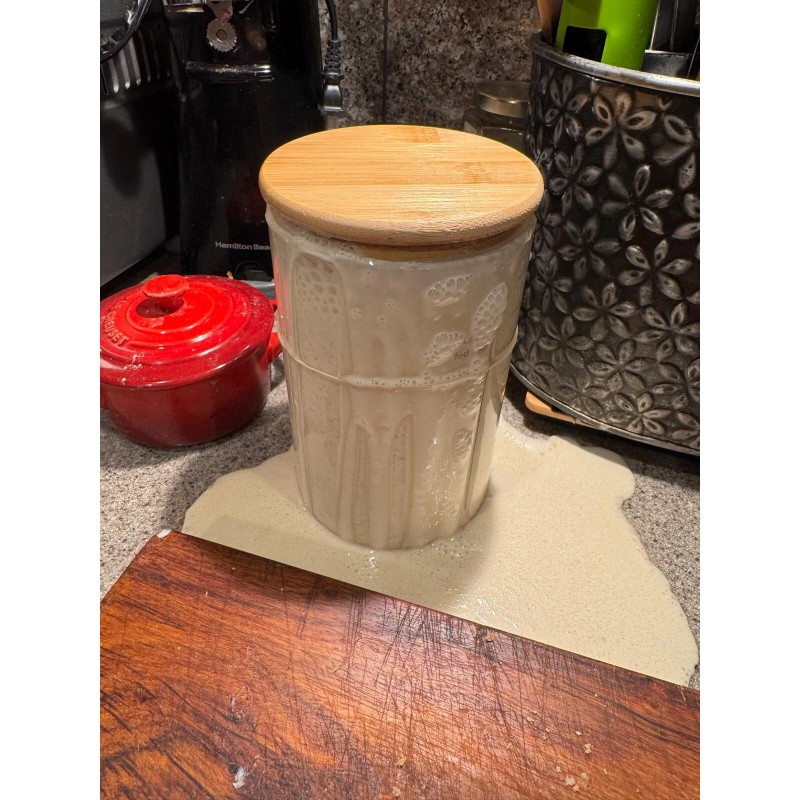 ZOURDOUGH SOURDOUGH The Apostle sourdough starter yeast New Release for