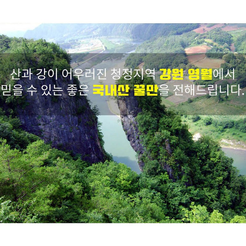 Haechangol Farm 100% domestic natural bee propolis 50ml / 해찬골