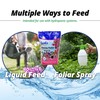 Jack's Classic 20-6-22 Petunia Feed Water-Soluble Fertilizer with Micronutrients to