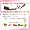 KOSE Fortune Dolly Feel Gel Liner 02 (Cocoa Brown) Eyeliner