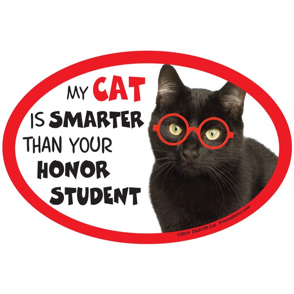 Magnet Black Cat is Smarter Than Your Honor Student