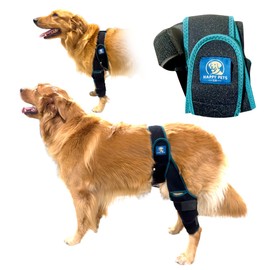HAPPY PETS CO Dog Knee Brace Adjustable Front Hind Leg Brace for Cruciate Ligament Injury, Luxating Patella, Torn ACL. (Green, Large)