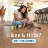 PetArmor Plus Flea and Tick Prevention for Cats, Cat Flea