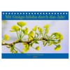 Mit Ginkgo biloba durch das Jahr (Tischkalender 2026 DIN A5