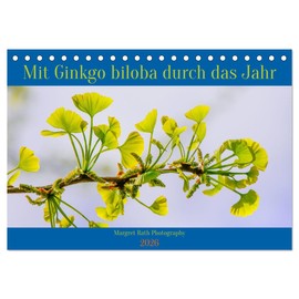 Mit Ginkgo biloba durch das Jahr (Tischkalender 2026 DIN A5 quer), CALVENDO Monatskalender: Mit seinen einzigartigen, fächerförmigen Blättern ist der ... und Gärten eine Augenweide. (CALVENDO Natur)