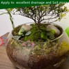 Horticultural Akadama Soil - Cactus Bonsai Succulent Soil Additive for