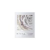 Kate Icy Rose PU-1 Eye Shadow