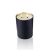 Trish McEvoy Wild Blueberry Candle in Black 10 oz