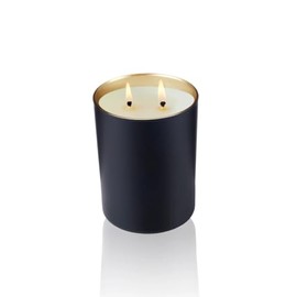 Trish McEvoy Wild Blueberry Candle in Black 10 oz