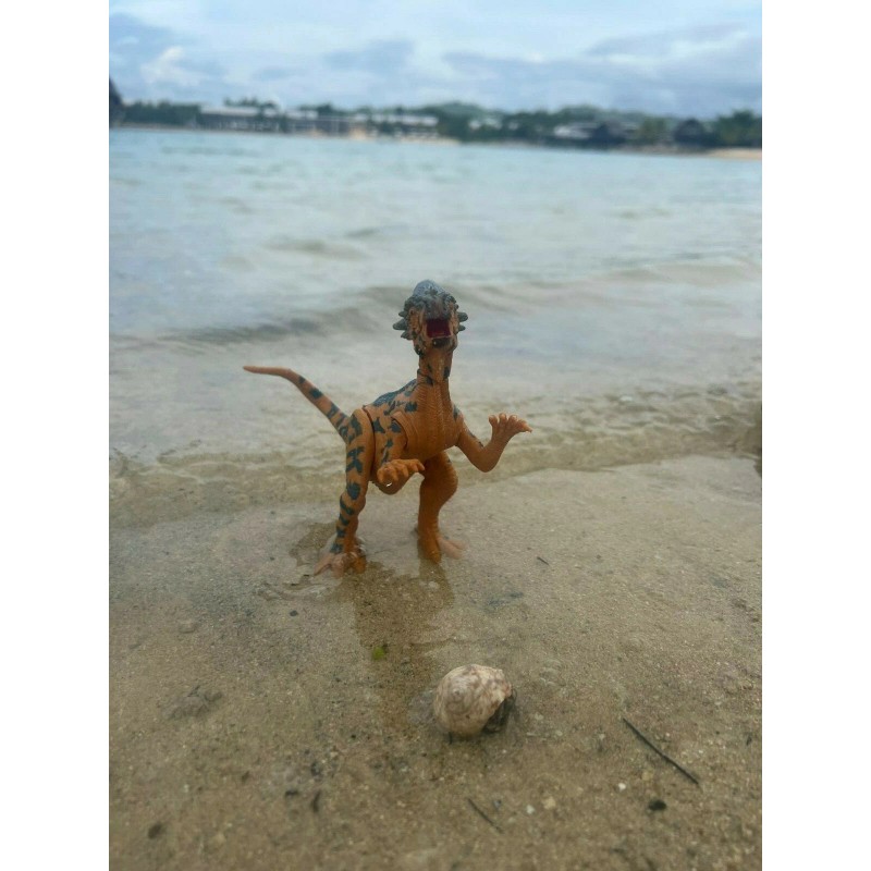 Kid Galaxy Amazing Detail PACHYCEPHALOSA