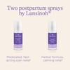 Lansinoh Herbal Perineal Spray, Postpartum Essentials, 3.5 Ounces