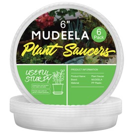 MUDEELA 6 Pack of 6 inch Plant Saucer, Durable Plastic Plant Trays for Indoors, Clear Plastic Flower Plant Pot Saucer, Made of Thicker, Stronger Plastic, with Taller Design