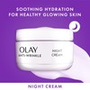 Olay Skincare Gift Set: Anti Wrinkle SPF 15 Face Moisturiser