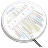 Pony Eye Hand Sewing Needle Compact: Chenille, Multi-Colour