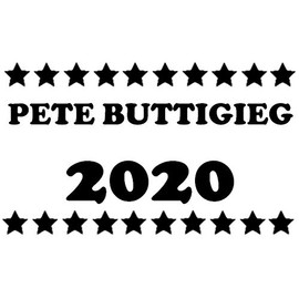 Pete Buttigieg 2020 25 Pcs Stickers Pack 2.25 x 1.25 in Democrat Election Vote
