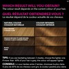 Garnier Olia Permanent Hair Dye, Ammonia-Free Hair Color, 6.3 Light