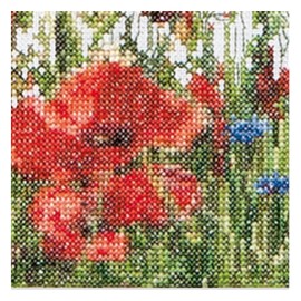 Thea Gouverneur - Counted Cross Stitch Kit - Poppies - Aida - 18 Count - Embroidery Kit for Adults - DMC Embroidery Threads and Other Cross Stitch Supplies Included - 546A