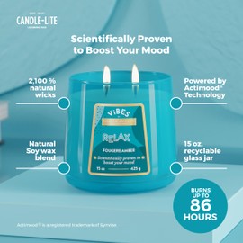 Candle-Lite Vibes Fougere Amber Mood-Enhancing Scented Candles, 15 oz Jar, Aromatherapy, Proudly Poured in The USA, 2-Wick, 86 Hours Burn Time, Perfect Relaxation Gift